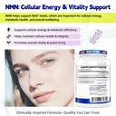 nmn-1000mg-supplement-per-serving-99-9-p-813USnyxt+L.jpg