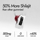 kapiva-himalayan-shilajit-gummies-225mg--516035+tZTL.jpg