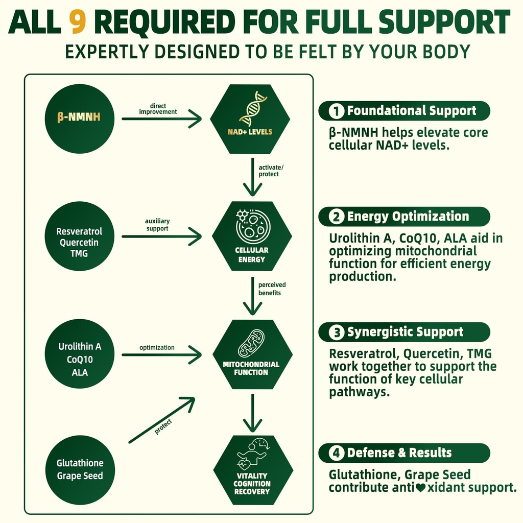 nmnh-supplement-2000mg-liposomal-nmn-alt-71hzfcyFeFL.jpg