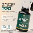 nad-supplement-for-women-and-men-12-in-1-71tTnr86UqL.jpg