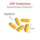 optimox-arg-atp-cofactors-mitochondrial--61FDTlnftBL.jpg