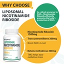 orgabay-liposomal-nicotinamide-riboside--71utT10r2rL.jpg