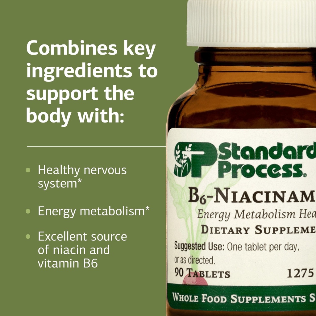 standard-process-b6-niacinamide-vitamin--81lsCOLA67L.jpg