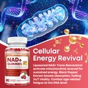 nad-gummies-1200mg-liposomal-nad-supplem-81vG+WqZQ1L.jpg