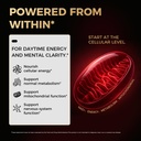 nad-supplements-for-women-nmn-alternativ-714bmhZVN3L.jpg