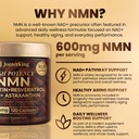 nmn-supplement-1200mg-per-serving-120-ca-81-RFB8V1TL.jpg