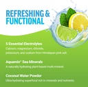 bundle-of-force-factor-liquid-labs-elect-3.jpg