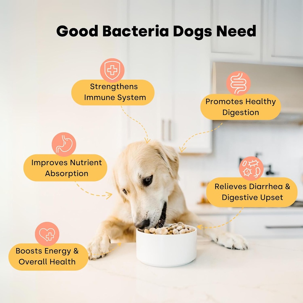 kayode-lickable-probiotics-for-dogs---st-3.jpg
