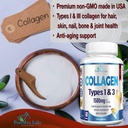 collagen-types-i-iii---collagen-pills-su-3.jpg