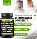 magnesium-l-threonate-capsules-1010mg----3.jpg