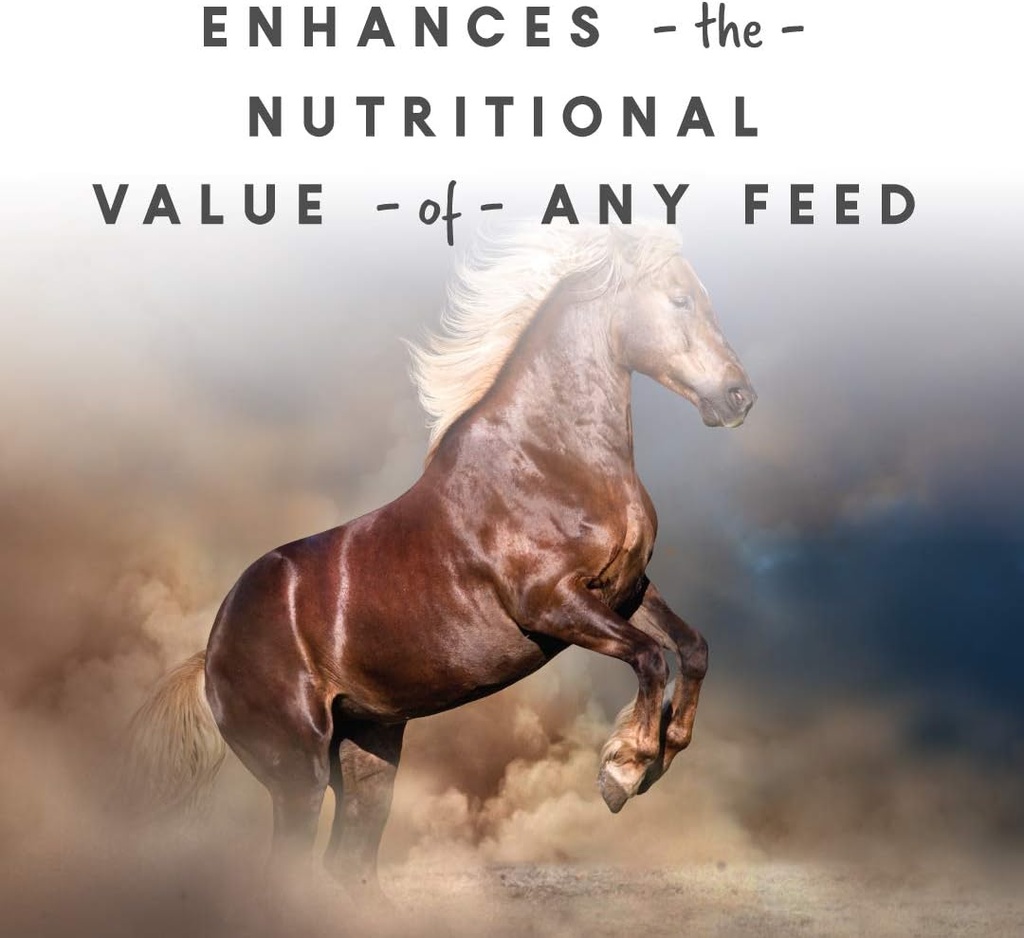 manna-pro-sho-glo-supplement-for-horses--3.jpg