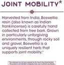 natures-way-standardized-boswellia-40-bo-4.jpg