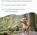 bark-whiskers-female-glandular-support-4-5.jpg