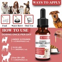 dog-uti-treatment-pet-renal-health-uti-c-4.jpg