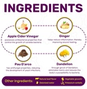 yeast-infection-treatment-for-dogs-dog-e-3.jpg
