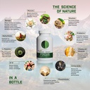 kids-mind-body-focus-natural-nootropic-b-3.jpg