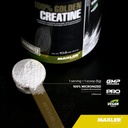 maxler-100-golden-whey-blueberry-muffin--3.jpg
