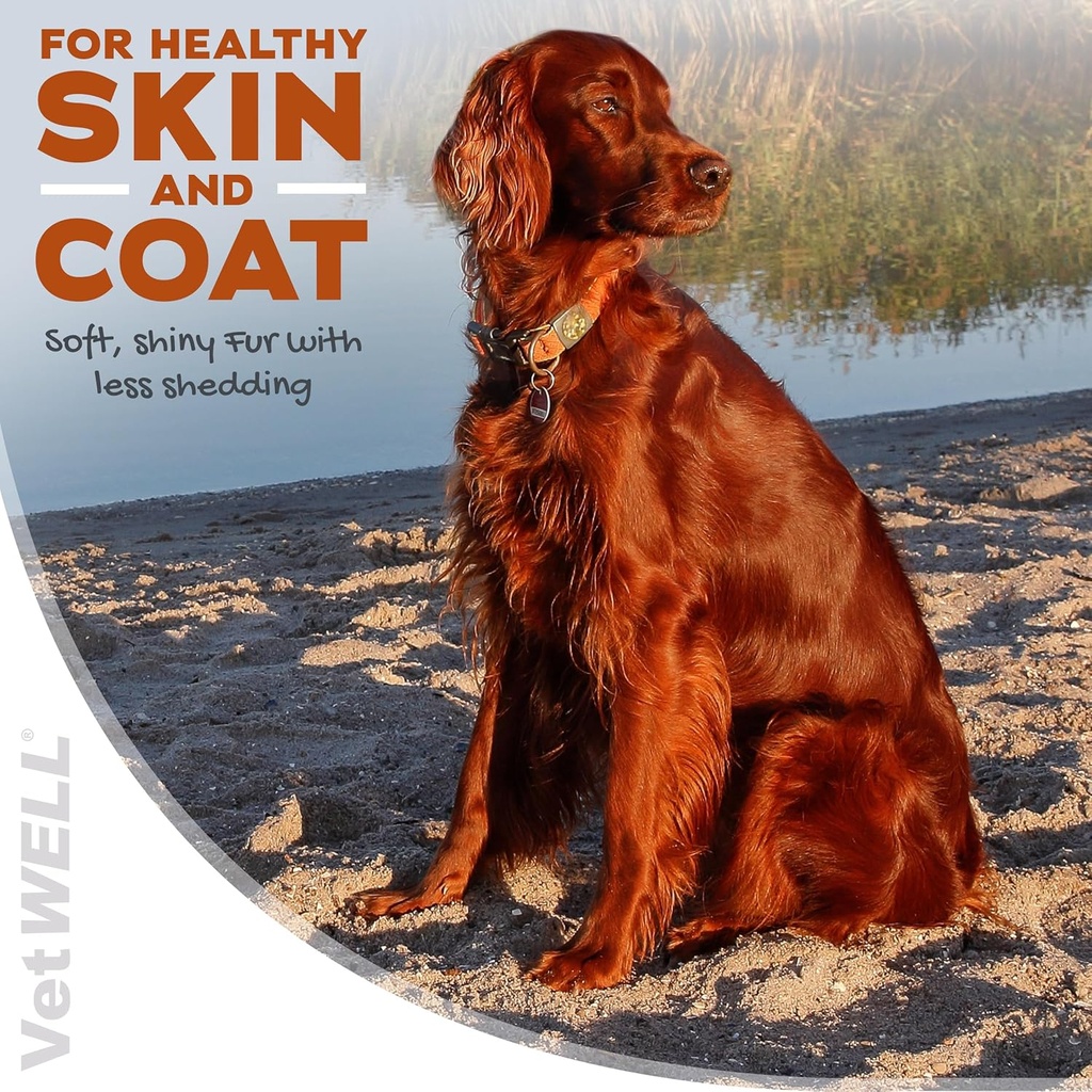 vetwell-omega-3-supplement-for-dogs-with-3.jpg