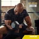maxler-100-golden-whey-blueberry-muffin--5.jpg
