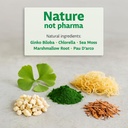 lung-support-supplement---vegan-formula--4.jpg