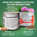 four-elements-4e-wild-yam-balancing-crea-2.jpg