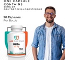 dhea-capsules---dhea-supplements---natur-4.jpg