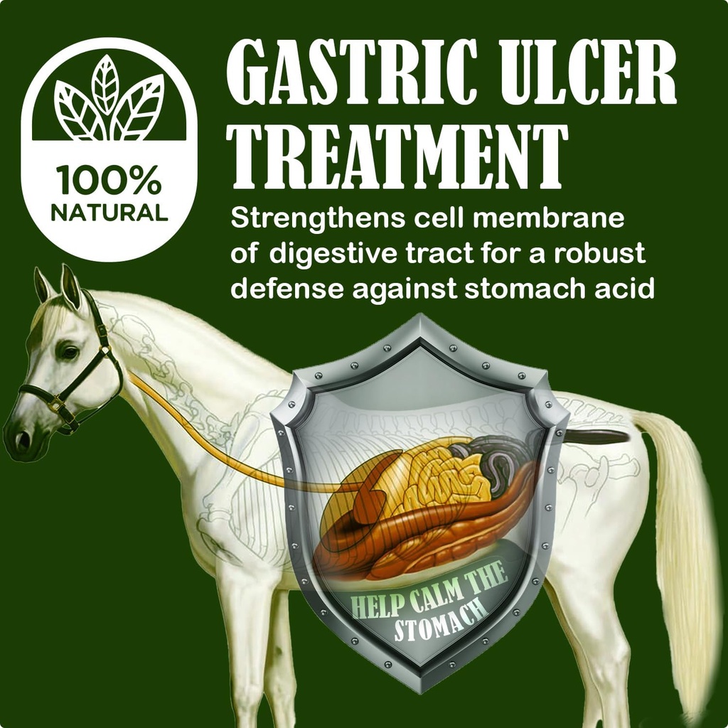 sbs-equine-starting-gate-granules---hors-3.jpg