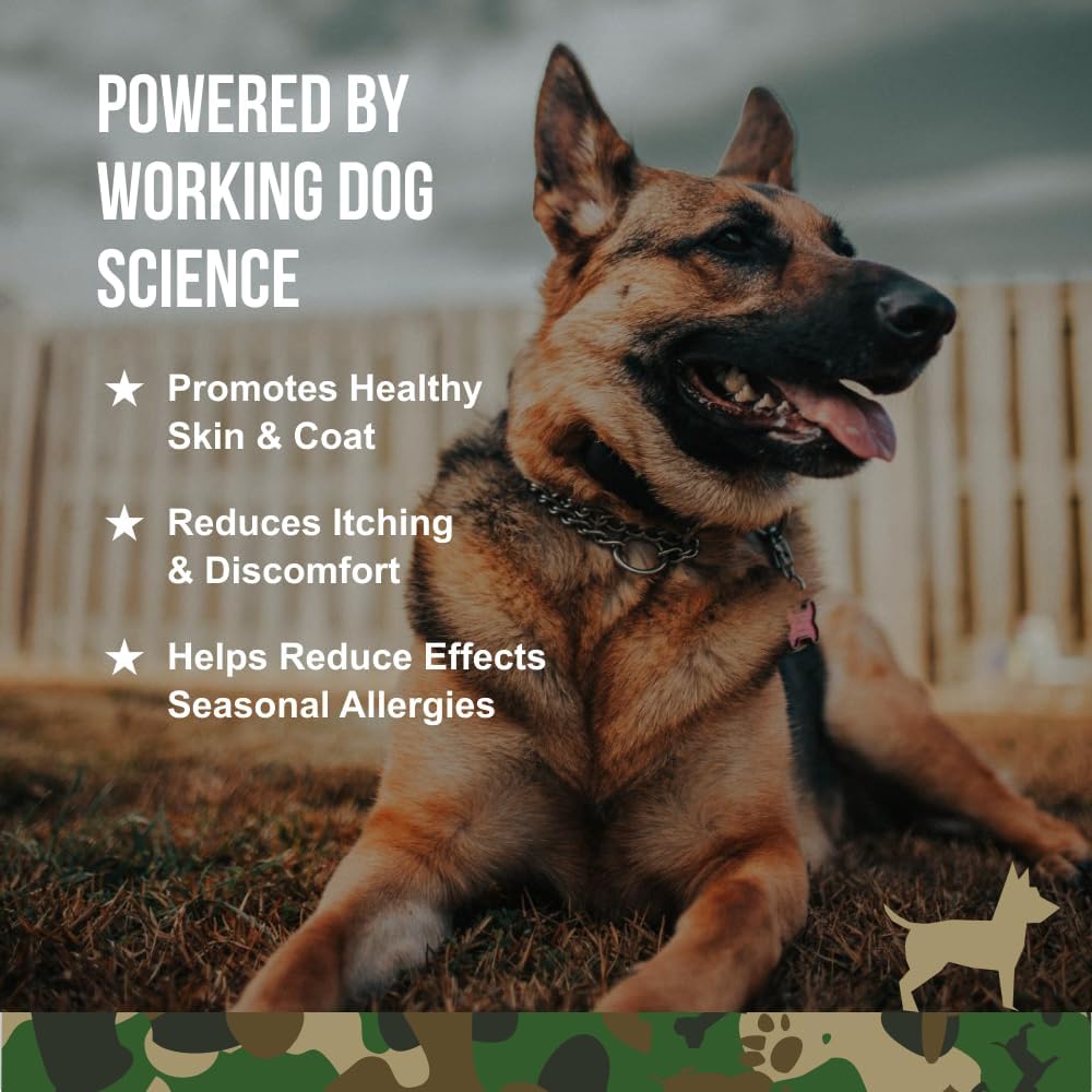 ogb-operation-good-boy---sre-skincoatall-2.jpg