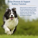 rx-vitamins-phos-bind---kidney-support-s-3.jpg