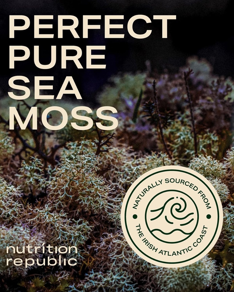 sea-moss-supplement-sea-moss-capsules-wi-4.jpg