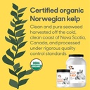 kelp-powder-for-dog-cat---organic-sea-ke-4.jpg