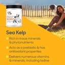 kelp-powder-for-dog-cat---organic-sea-ke-6.jpg