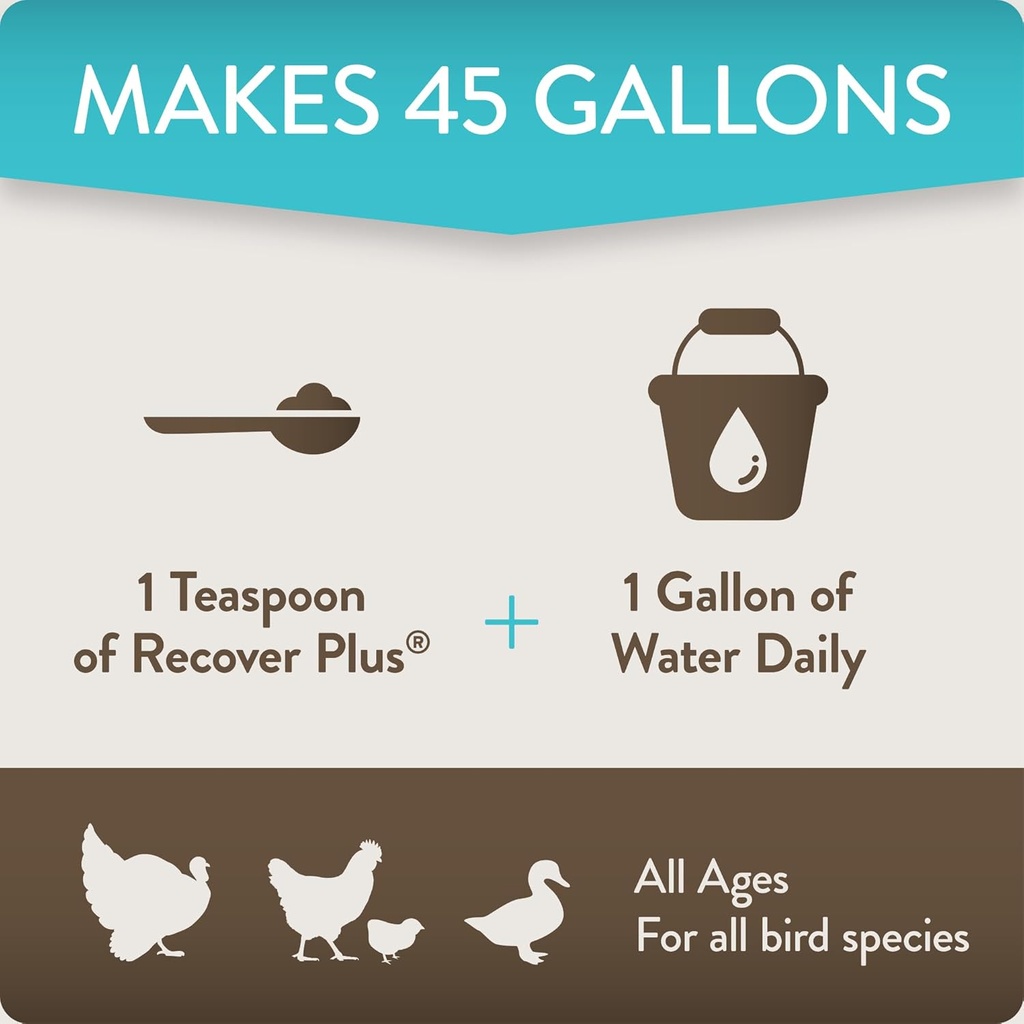 recover-plus-moderate-stress-probiotic-w-5.jpg