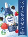 natures-truth-ionic-liquid-zinc-suppleme-3.jpg