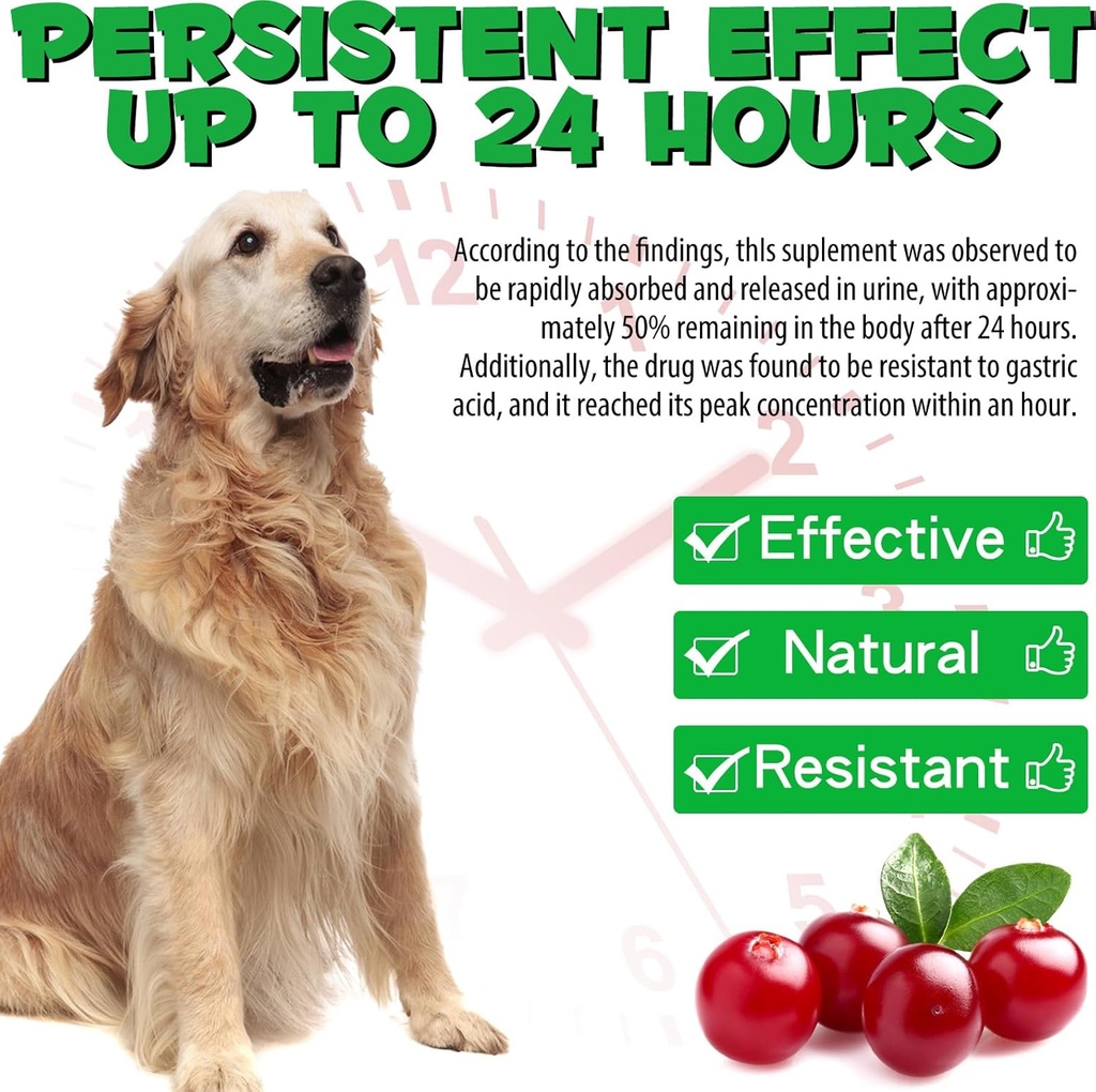 dog-uti-treatment---urinary-tract-infect-5.jpg
