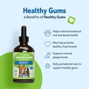 pet-wellbeing-healthy-gums-for-dogs---gu-4.jpg