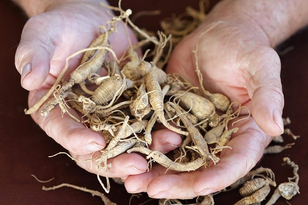 health-embassy-siberian-ginseng-root-cut-5.jpg