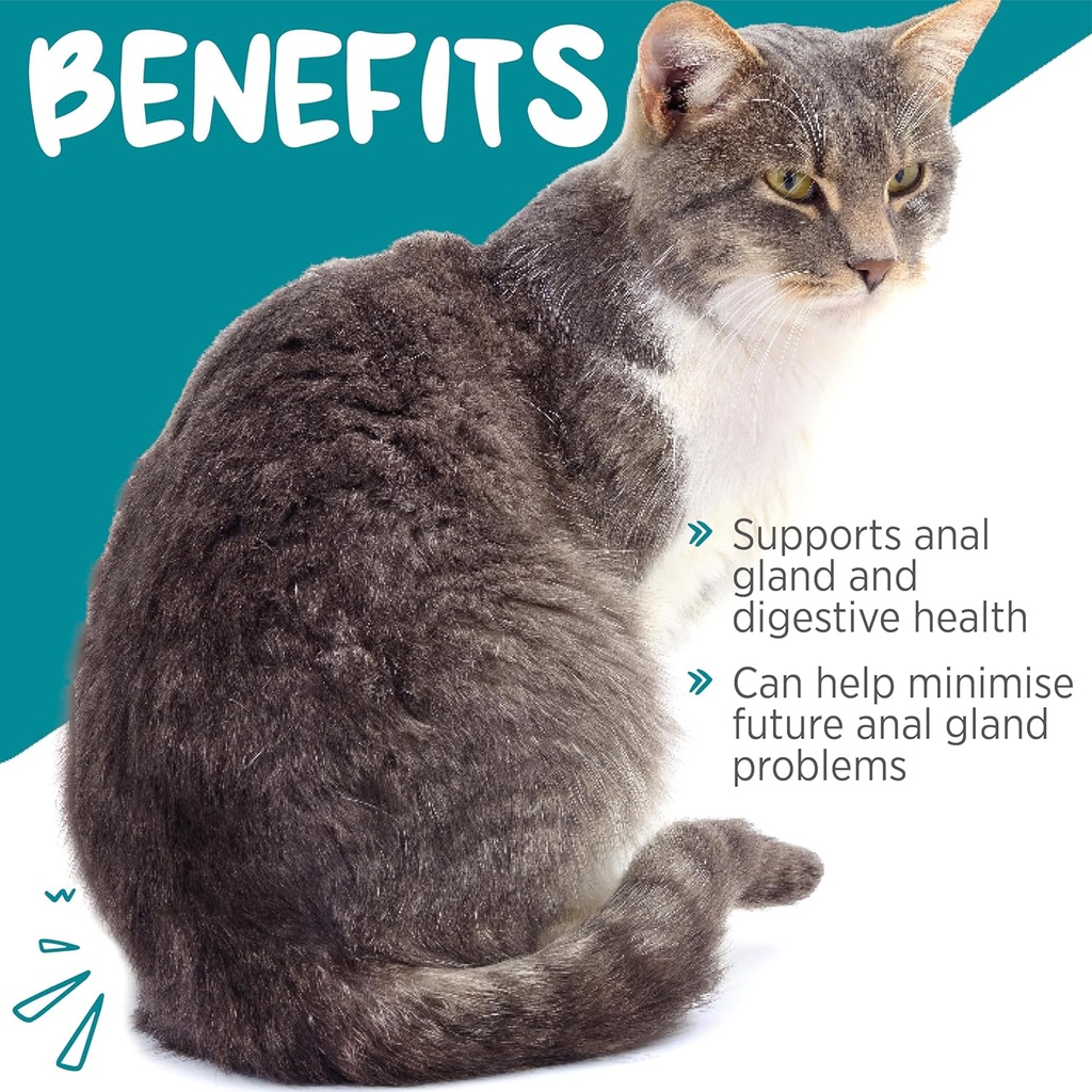maxxipaws-maxxiscoot-anal-gland-digestiv-2.jpg