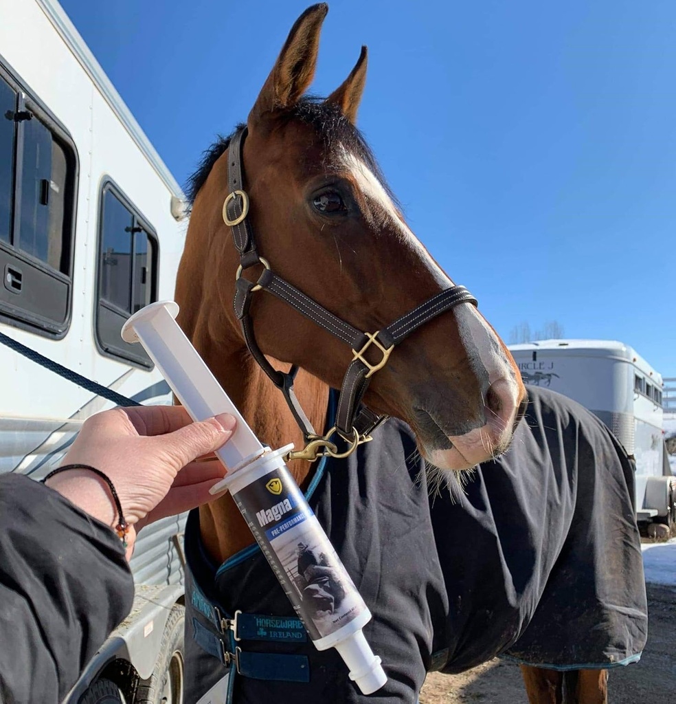 pre-performance-calming-paste-for-horses-3.jpg