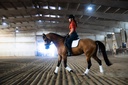 pre-performance-calming-paste-for-horses-4.jpg