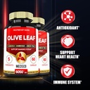 5in1-olive-leaf-extract-for-4-months-605-3.jpg