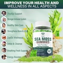 1pack-sea-moss-gummies-sugar-free-extra--5.jpg