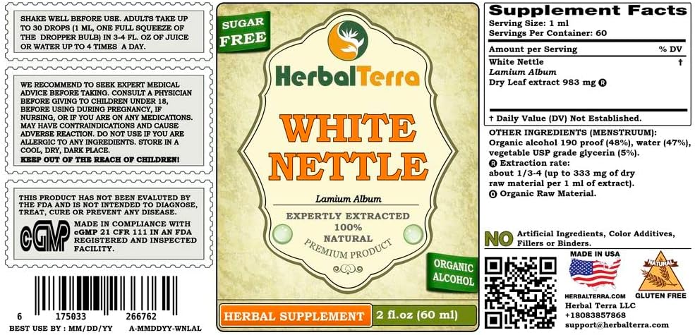 herbal-terra-llc-white-nettle-lamium-alb-2.jpg