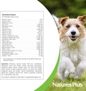 naturesplus-furbaby-multivitamin-for-dog-4.jpg