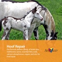 animed-remission-4-lb-3.jpg