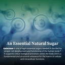 biopure-galactose-essential-natural-suga-5.jpg
