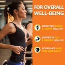 zammex-bone-broth-protein-powder-bovine--4.jpg