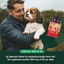 deva-vegan-vitamin-b12-fast-dissolve-sup-6.jpg