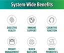 layer-origin-purehmo-synbiotic-prebiotic-5.jpg