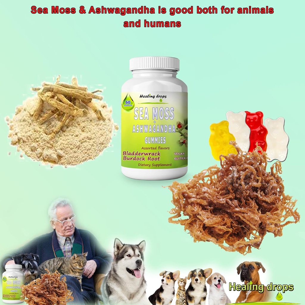 sea-moss-gummies-ashwagandha-with-bladde-5.jpg